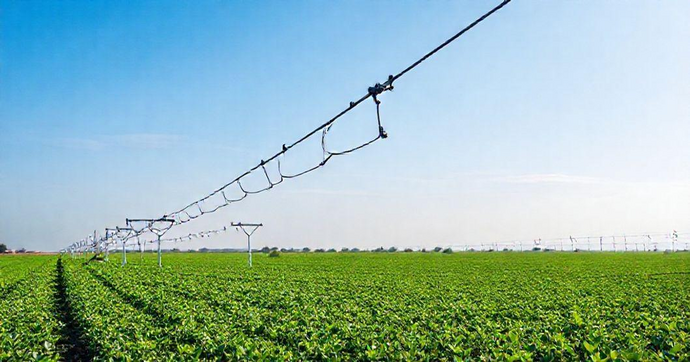 Guia Completo sobre Cavaletes de Irrigação para Cultivos